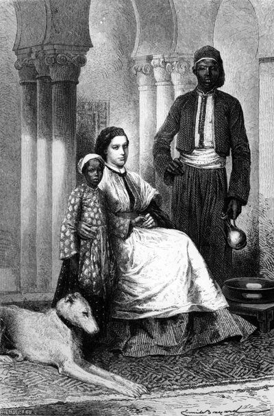 Panna Tinne w swoim domu w Kairze, ilustracja z „Le Tour du Monde”, 1871 autorstwa Emile Antoine Bayard