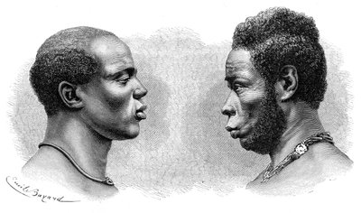 Dwóch mężczyzn z Gwinei Francuskiej, ok. 1850-1890. autorstwa Emile Antoine Bayard