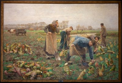 Zbiór buraków autorstwa Emile Claus