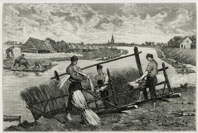 Rdza lnu (maceracja ułatwiająca oddzielenie kory od łodygi) w Lys (rzeka na północ od Francji i Belgii). Rycina Emile Claus, ilustrująca historię „La Belgique”, Camille Lemonnier (1844) -1913), pisarz i krytyk sztuki. autorstwa Emile Claus