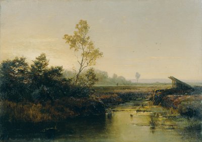 Moorlandschaft autorstwa Emilie Mediz Pelikan