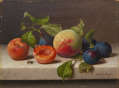 owocowa martwa natura autorstwa Emilie Preyer