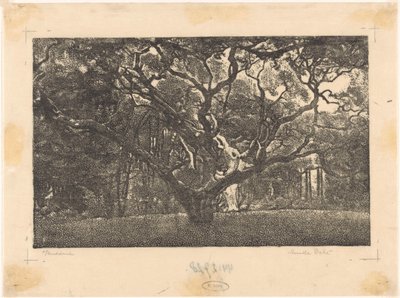 Las w Górach autorstwa Emilius Wilhelmus Dehé (signed by artist)