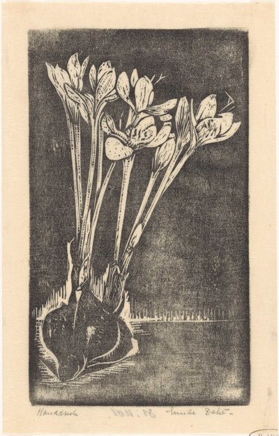 Jesienna ponadczasowa autorstwa Emilius Wilhelmus Dehé (signed by artist)