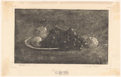 Miska z winogronami i innymi owocami autorstwa Emilius Wilhelmus Dehé (signed by artist)