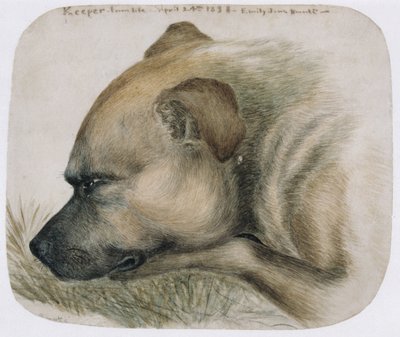 Opiekun - z życia, 1838 (ołówek i wc na papierze) autorstwa Emily Bronte
