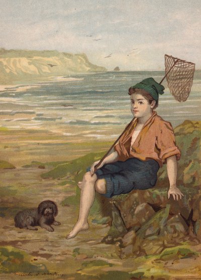 Chłopiec z siecią rybacką nad morzem (chromolitho) autorstwa Emily Jane Harding Andrews