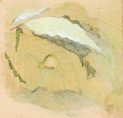 Porcelanowo-Biały Pająk, koniec XIX-początek XX wieku. autorstwa Emma Beach Thayer