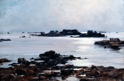 le de Sein, 1884 autorstwa Emmanuel Lansyer