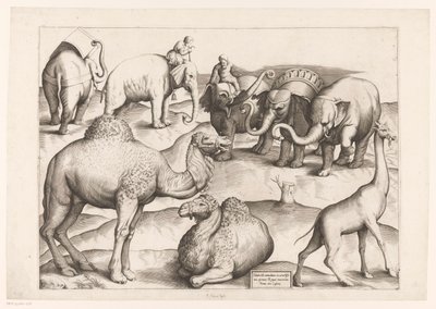 Osiem zwierząt Zwierzęta do antycznych malowideł ściennych (tytuł serii) Speculum Romanae Magnificentiae (tytuł serii) autorstwa Enea Vico (attributed to)