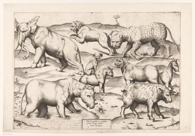 Dziewięć zwierząt Zwierzęta do antycznych malowideł ściennych (tytuł serii) Speculum Romanae Magnificentiae (tytuł serii) autorstwa Enea Vico (attributed to)