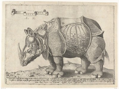 Neushoorn Nosorożec (tytuł na obiekcie) autorstwa Enea Vico