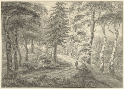 leśny widok autorstwa Engelbert Michaël Engelberts