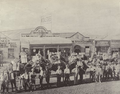 Pociąg na wielbłądach, Coolgardie, Zachodnia Australia autorstwa English Photographer