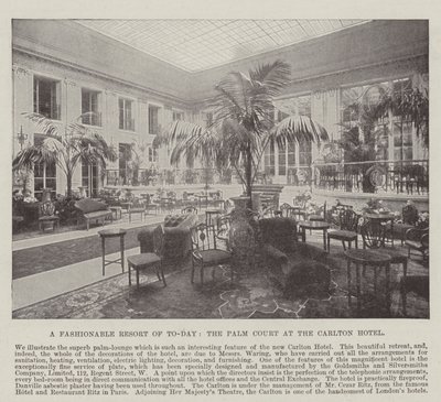 Modny kurort współczesności, Palm Court w hotelu Carlton autorstwa English Photographer