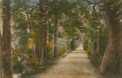Addisons Walk w Oksfordzie. Pocztówka wysłana w 1913 roku. autorstwa English Photographer