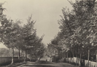 Aldeburgh, Westfields Avenue (zdjęcie czarno-białe) autorstwa English Photographer