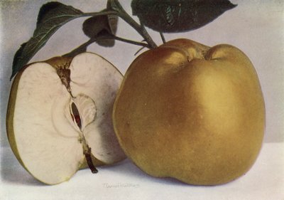 Apple, Lord Derby (zdjęcie kolorowe) autorstwa English Photographer