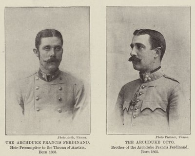 Austriacki spadkobierca-domniemany autorstwa English Photographer