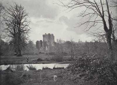 Zamek Blarney autorstwa English Photographer
