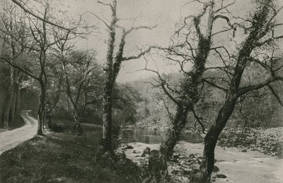 Bolton Woods autorstwa English Photographer