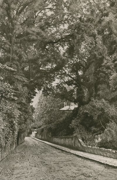 Bonchurch Road, Wyspa Wight autorstwa English Photographer