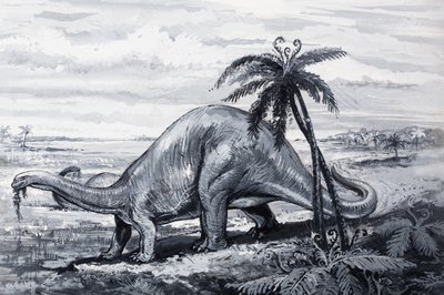Brontozaur autorstwa English Photographer
