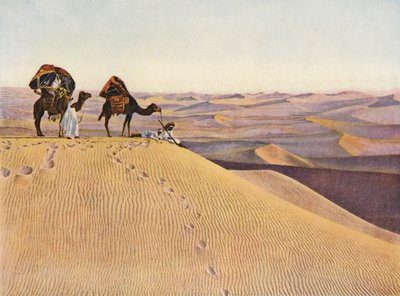 Wielbłądy na Saharze (kolorowe zdjęcie) autorstwa English Photographer