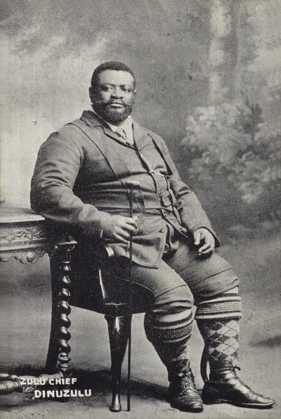 Cetshwayo kaMpande, król narodu Zulu autorstwa English Photographer