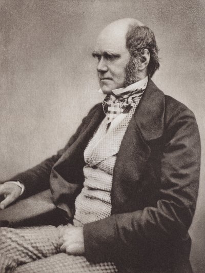 Karol Darwin, portret, ok. 1854 r., ze zdjęcia Maull  Fox (zdjęcie czarno-białe) autorstwa English Photographer