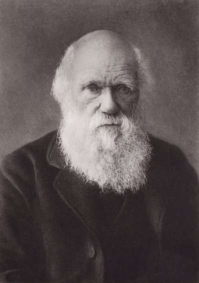 Karol Darwin, portret, ok. 1880 (zdjęcie czarno-białe) autorstwa English Photographer