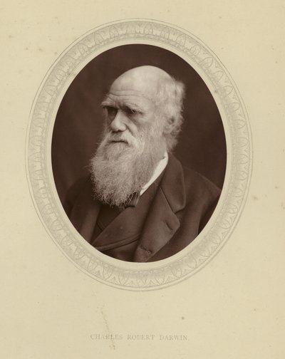 Charles Robert Darwin autorstwa English Photographer