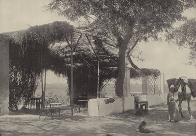 Kawiarnia w Ogrodzie Dziewicy w Matariyeh, gdzie mieszkał Józef autorstwa English Photographer