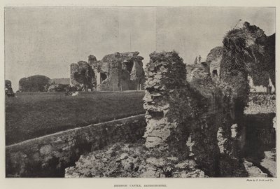 Zamek Denbigh, Denbighshire autorstwa English Photographer