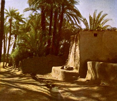 Egipt-Karnak autorstwa English Photographer