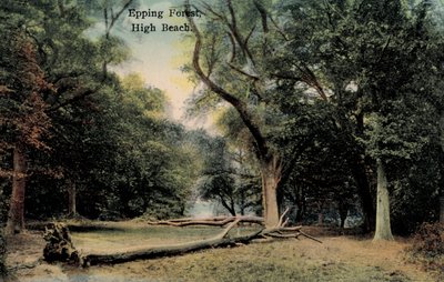 Las Epping, Plaża Wysoka (zdjęcie) autorstwa English Photographer