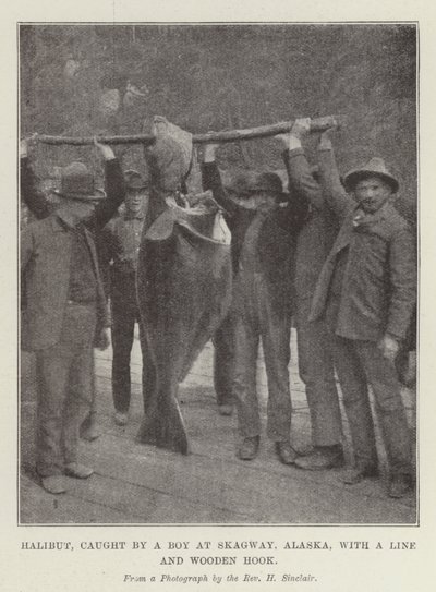 Halibut złapany przez chłopca w Skagway na Alasce za pomocą linki i drewnianego haka autorstwa English Photographer