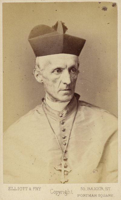 Henry Edward Manning autorstwa English Photographer