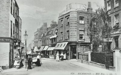Hill Rise, Richmond: widok ogólny, 1895 autorstwa English Photographer