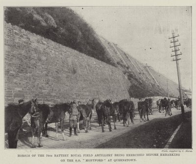 Konie z 79. Baterii Królewskiej Artylerii Polowej ćwiczone przed wyruszeniem na SS Montford w Queenstown autorstwa English Photographer