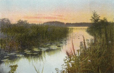 Hoveton Broad autorstwa English Photographer
