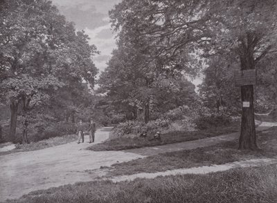 W Queens Wood, Highgate autorstwa English Photographer