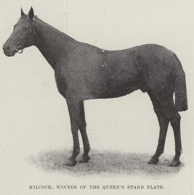 Kilcock, zwycięzca Queens Stand Plate autorstwa English Photographer