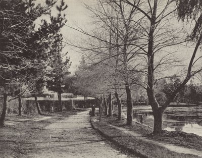 Jezioro Wendouree zimą autorstwa English Photographer