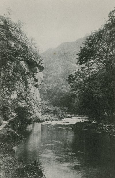 Lions Face Rock, Dovedale autorstwa English Photographer