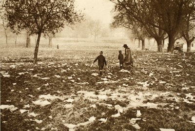 Trawa usiana śmieciami na wrzosowisku Hampstead dzień po Bank Holiday, z Wonderful London, wyd. 1926-27 (fotograwiura) autorstwa English Photographer