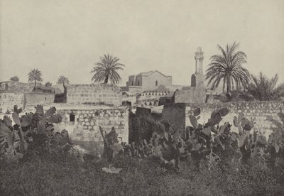 Lydda, Starożytny Pan Starego Testamentu, gdzie Apostoł Paweł przywrócił chorego Eneasza autorstwa English Photographer