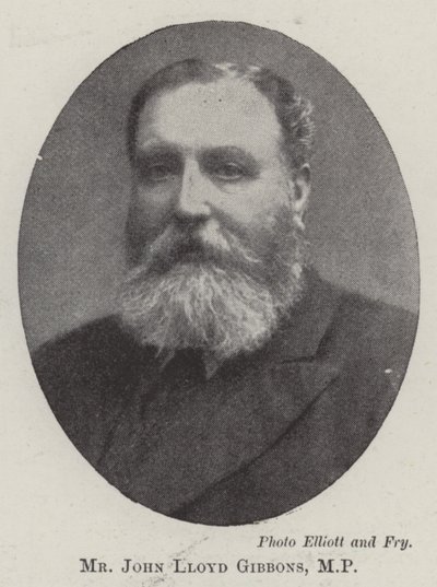 Pan John Lloyd Gibbons, MP autorstwa English Photographer