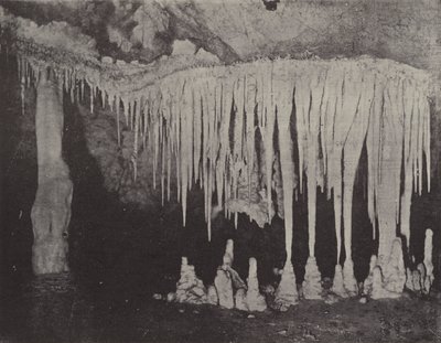 Grota Nellies, Jaskinie Jenolan autorstwa English Photographer