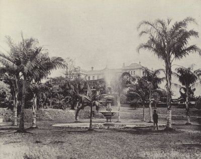 Palmy i Fontanna, Ogrody Botaniczne, Brisbane autorstwa English Photographer